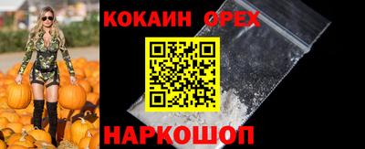 СК Заводоуковск