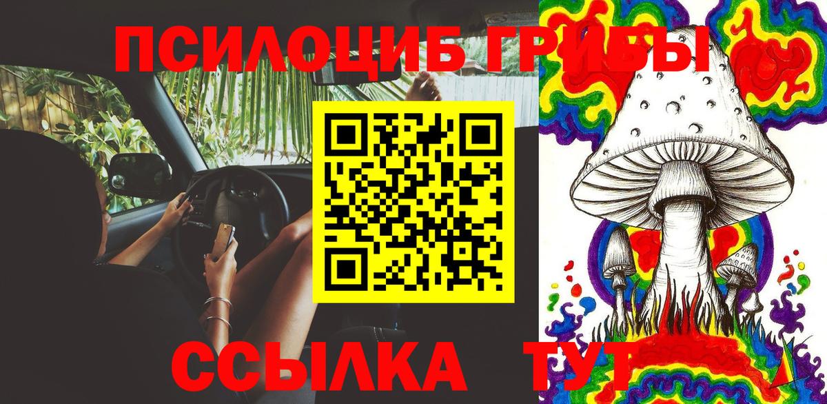 Среднеуральск  Псилоцибиновые грибы MAGIC MUSHROOMS  Вход с VPN 