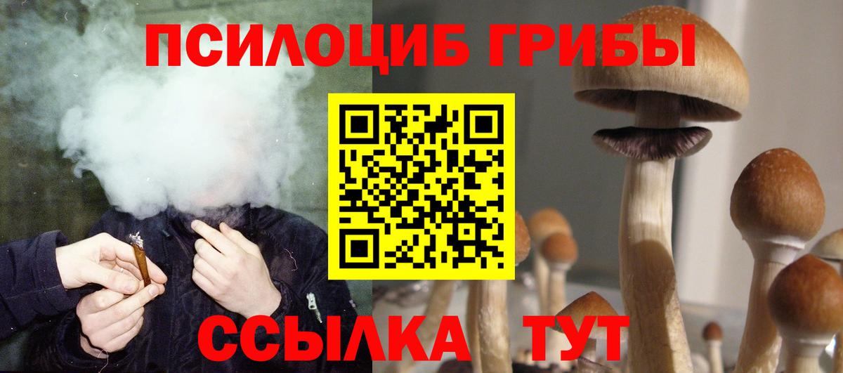 Псилоцибиновые грибы мицелий Среднеуральск